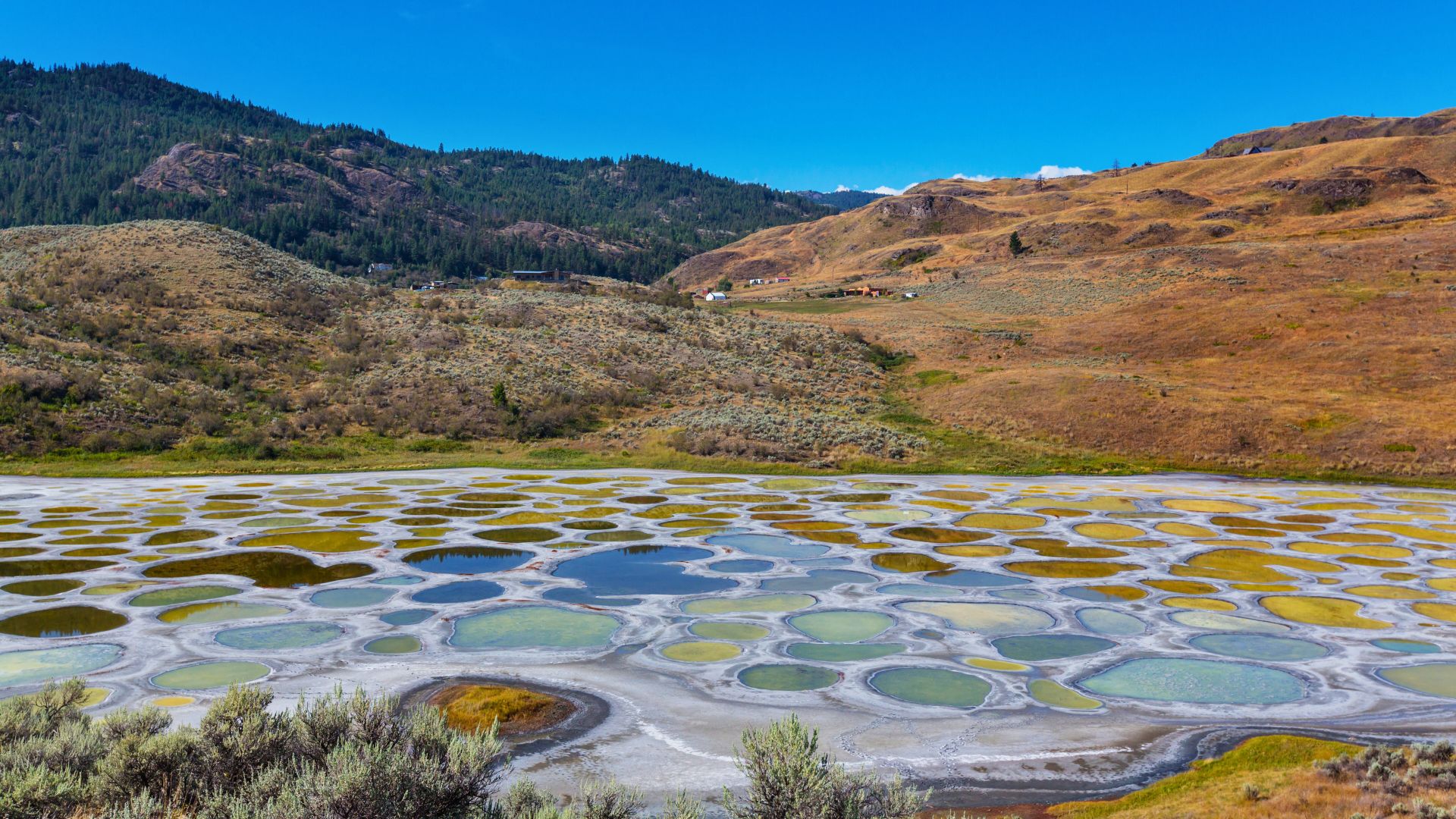 Spotted Lake