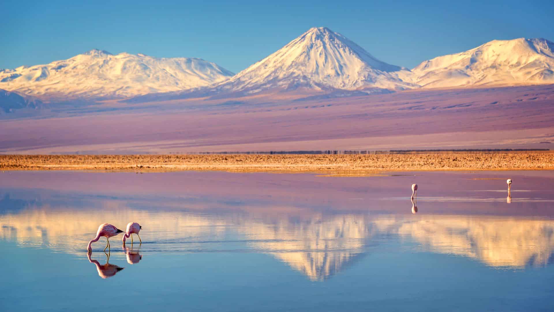 Désert d'Atacama