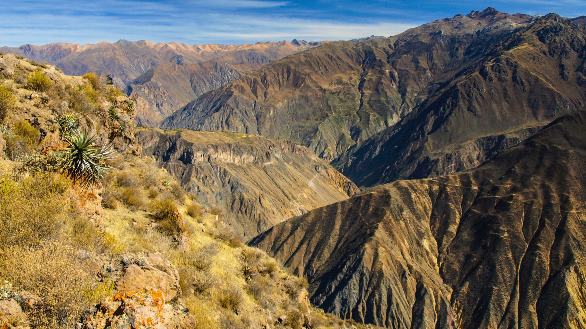 Canyon de Colca