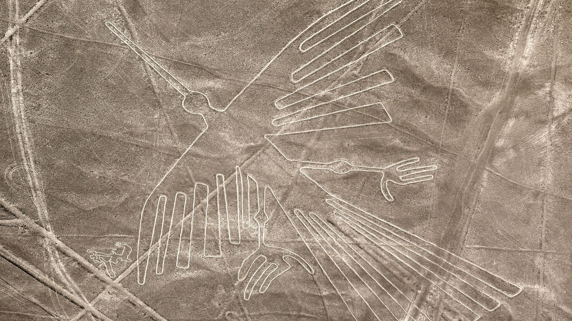 Lignes de Nazca