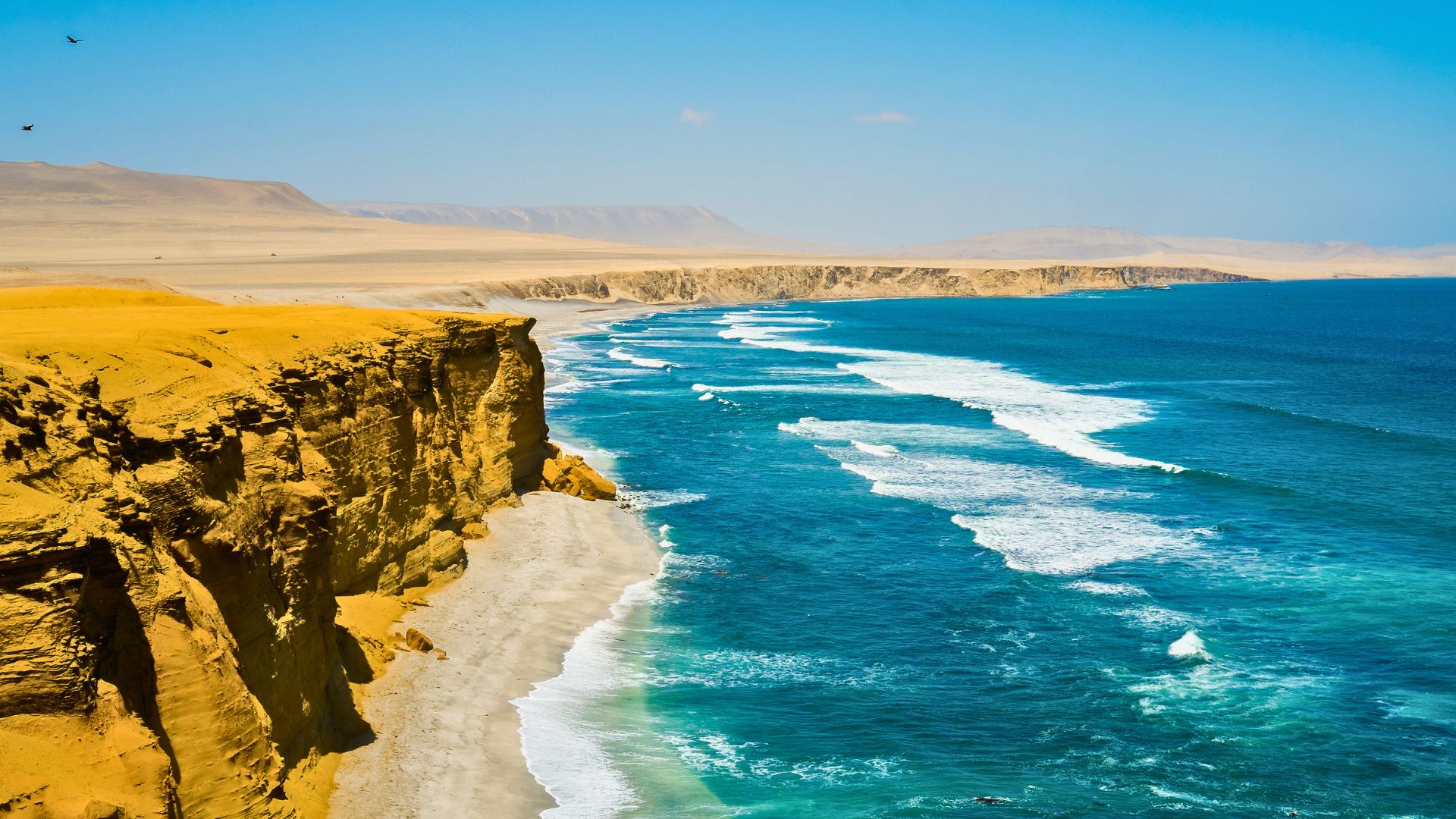 Réserve Nationale de Paracas