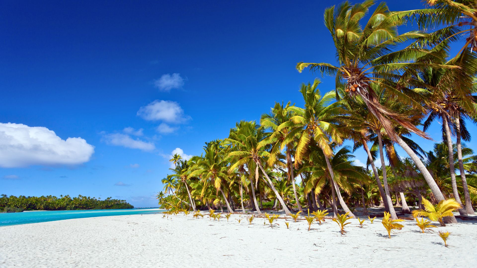 aitutaki-îles-cook