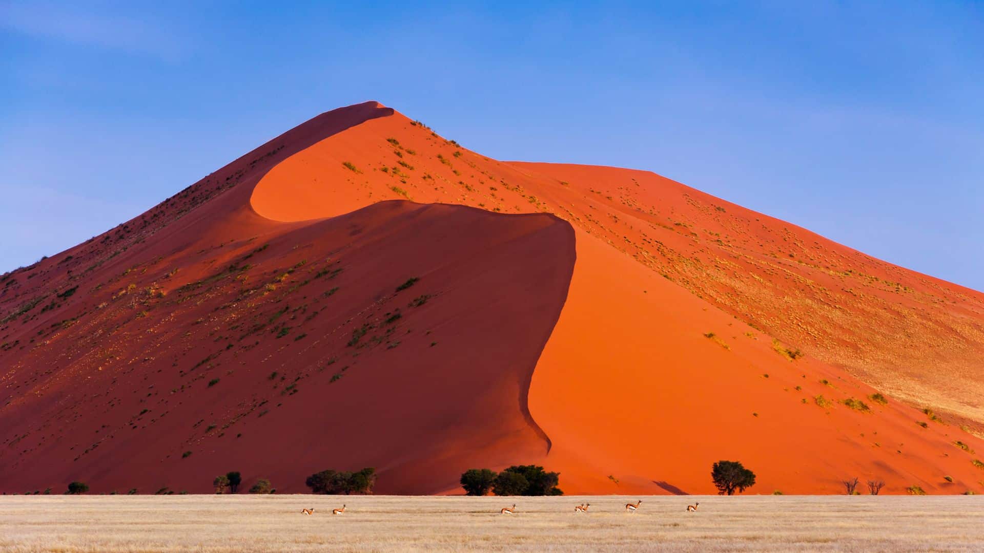 dunes-de-sossusvlei-namibie