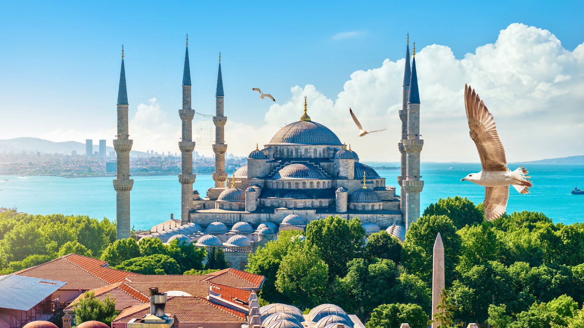 mosquée-bleue-istanbul-turquie