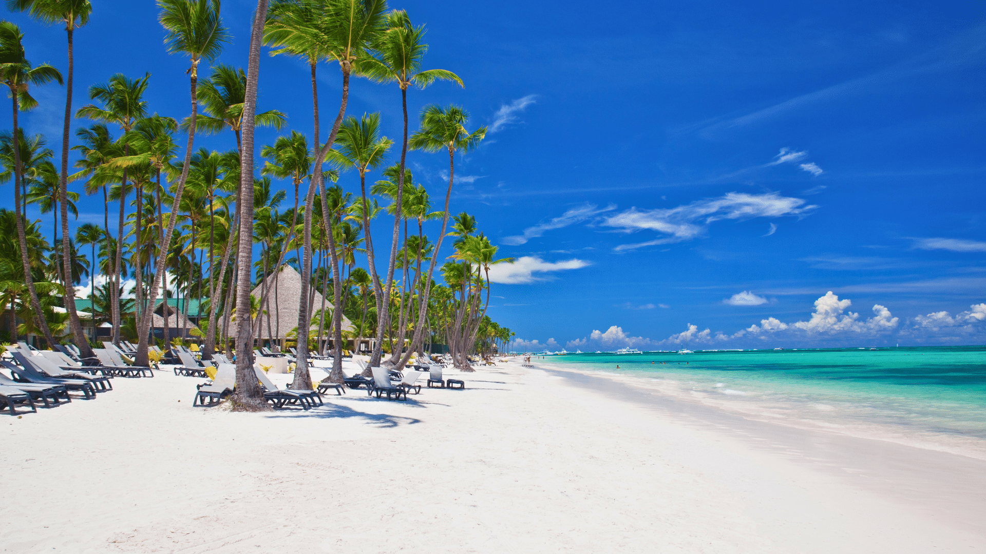 plage-de-bávaro-punta-cana-république-dominicaine